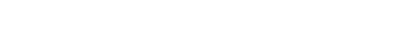 BRANTSI